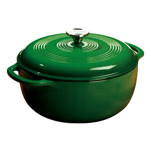 lodge enameled cast iron cookware