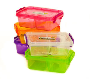 lunch tupperware with compartments